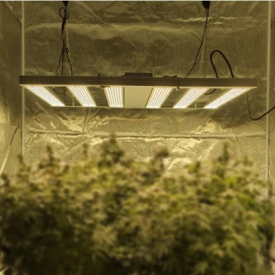 La luce per piante pieghevole a spettro completo a LED da 480 W coltiva la luce per la crescita delle piante in serra