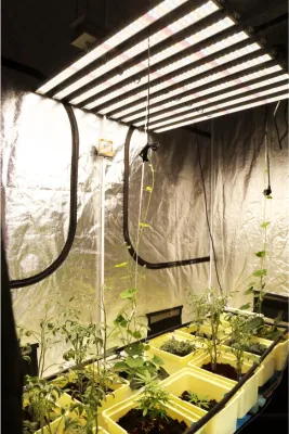 Spettro completo in crescita idroponica per piante da interno Lampada Bar Impermeabile 2019 Lampadina di crescita Induzione quantistica LED Coltiva la luce