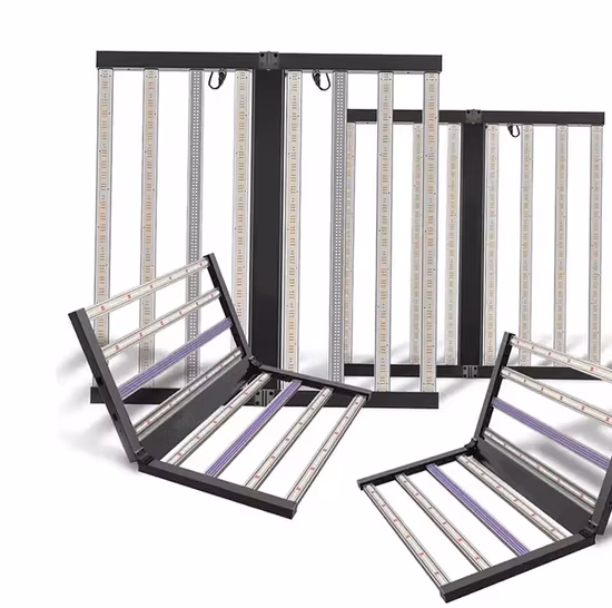 Lampada a luce di riempimento per la crescita delle piante di alta qualità prodotta in Cina